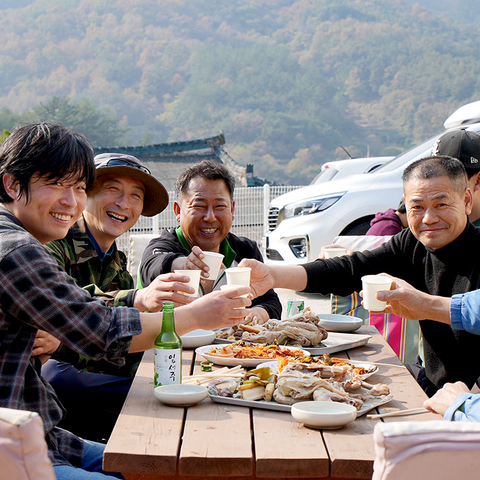 돌배수확